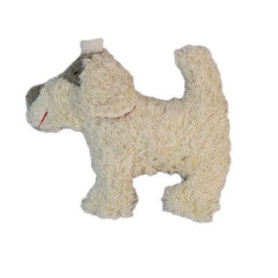 Rassel Hund KHUR-2