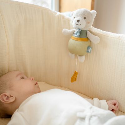 Mini-Spieluhr Bär fehnNATUR
