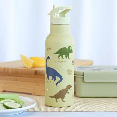 Trinkflasche Edelstahl Dinosaurier