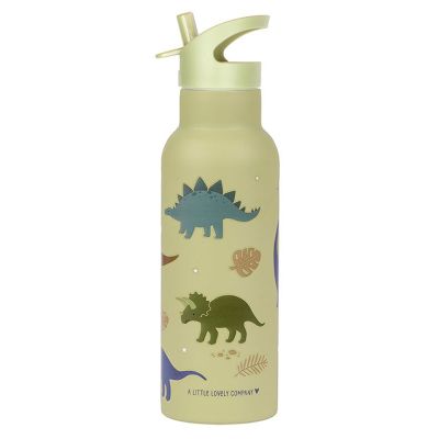 Trinkflasche Edelstahl Dinosaurier